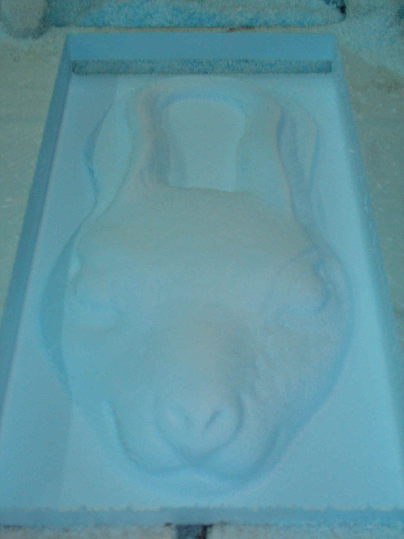Scan_Rabbit.JPG (611303 bytes)
